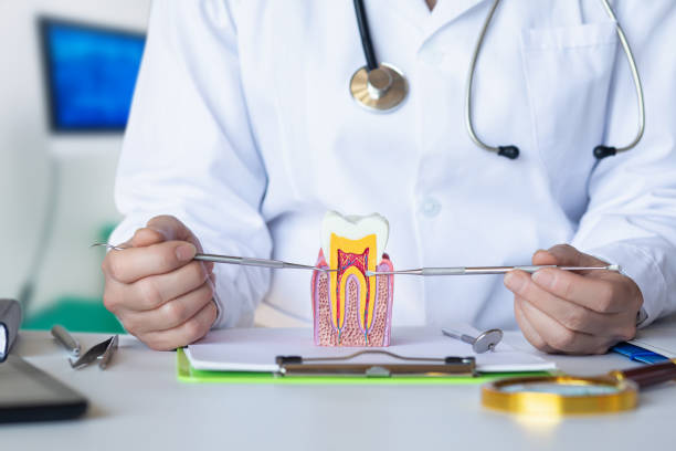 Best Emergency Cosmetic Dentistry (e.g., broken veneers) in Stuarts Draft, VA